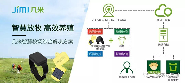 几米智慧牧场